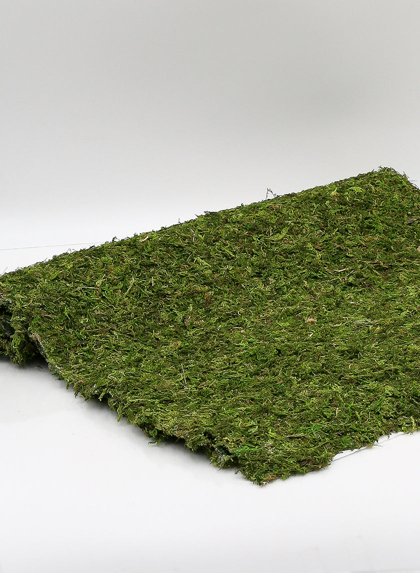 18in x 48in Preserved Moss Mat Decor Jamali-garden