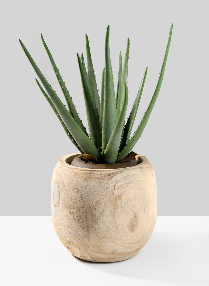 8in Wide Paulownia Wood Fishbowl Vase Decor Jamali-garden
