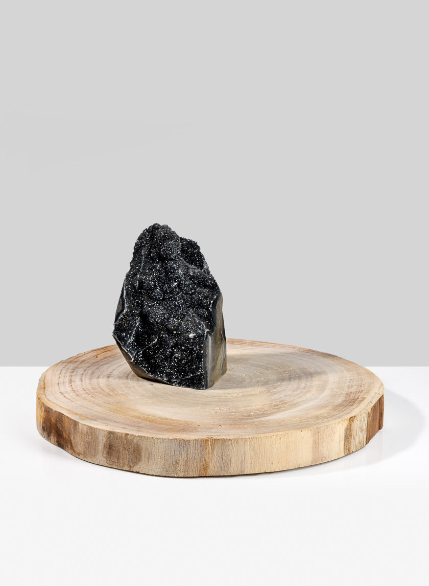 12in Wide Paulownia Wood Trunk Slice Decor Jamali-garden