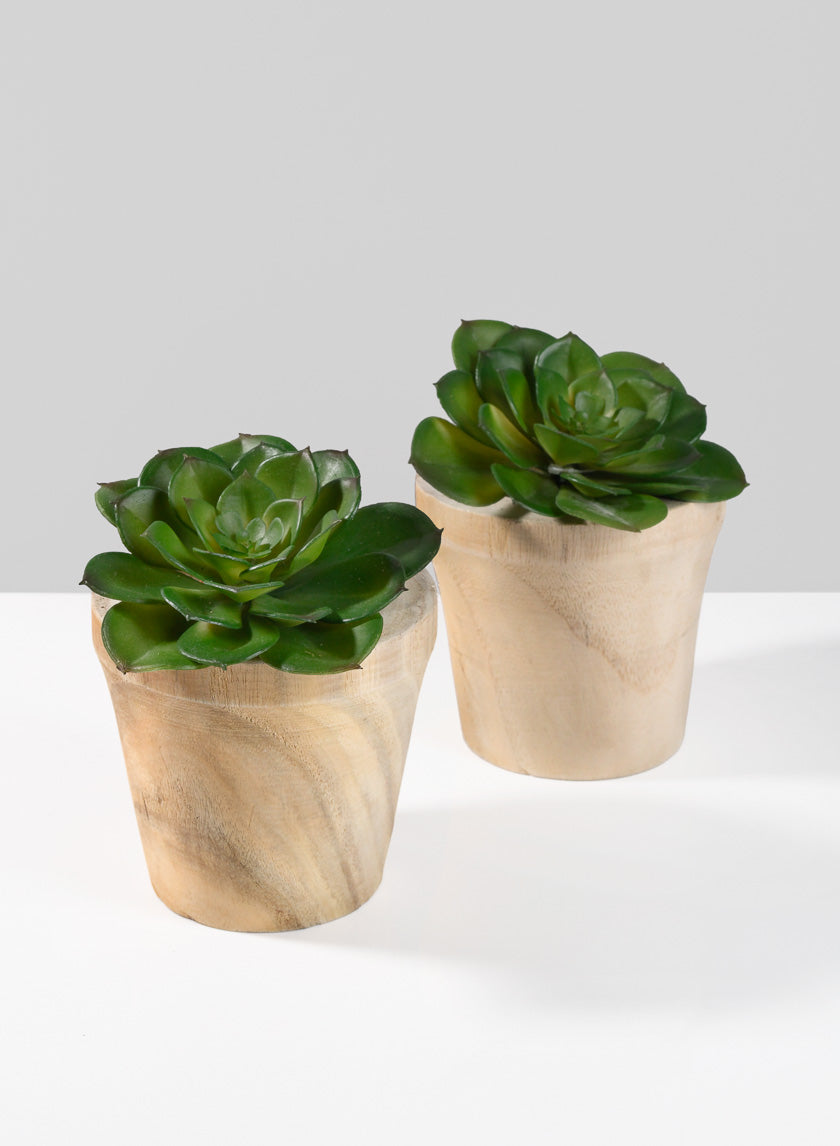 4.5in Tall Paulownia Wood Pot Decor Jamali-garden