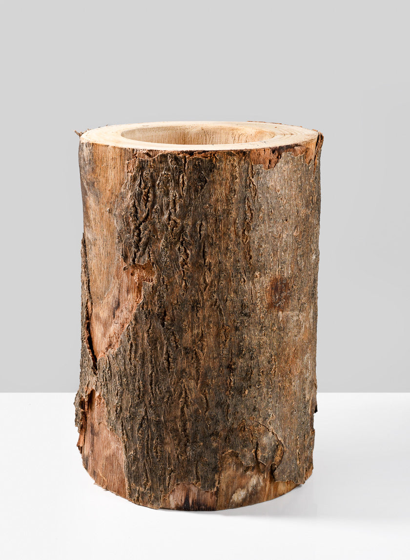 12in Tall Paulownia Wood Tree Trunk Vase Decor Jamali-garden