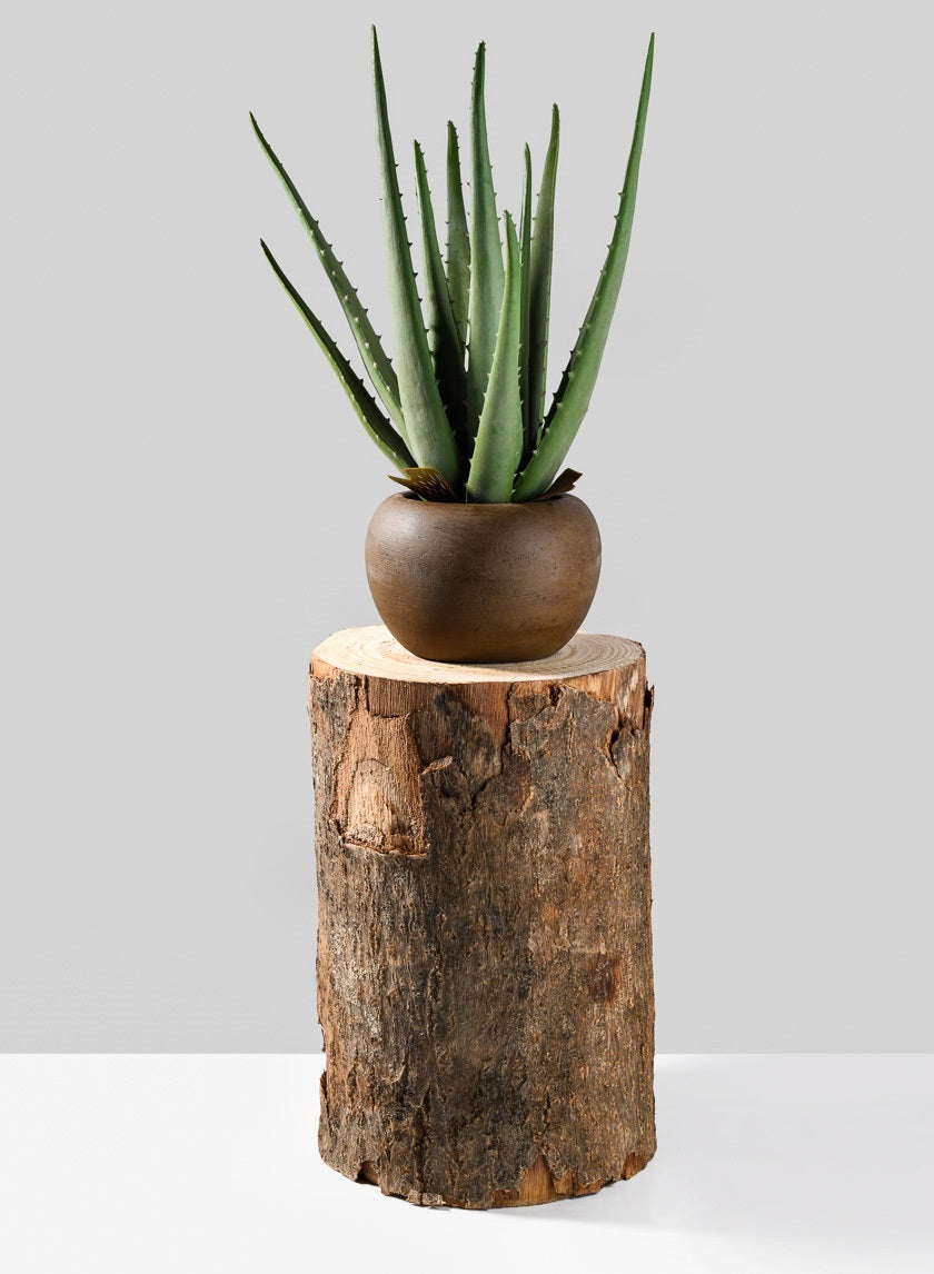 12in Tall Paulownia Wood Tree Trunk Vase Decor Jamali-garden