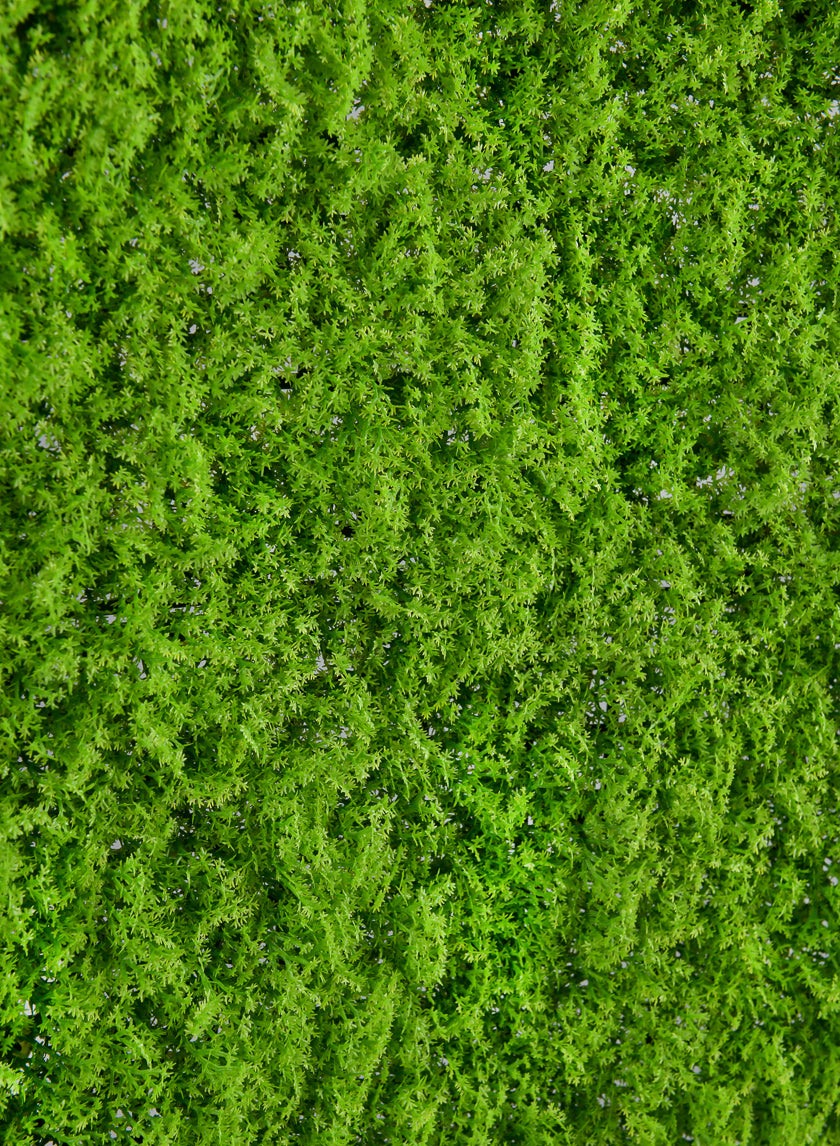 20in Square Realistic Evergreen Moss Mat (Indoor/Outdoor) Decor Jamali-garden