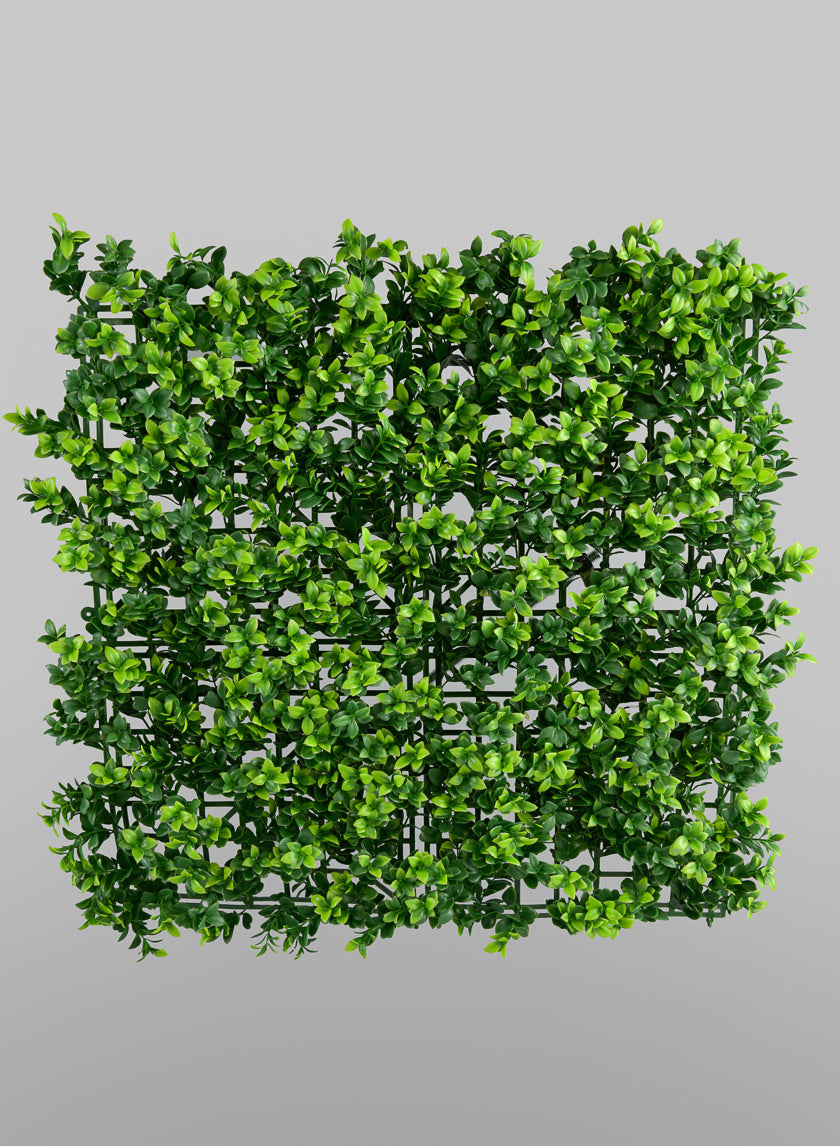 20in Square Mature Boxwood Mat (Indoor/Outdoor) Decor Jamali-garden