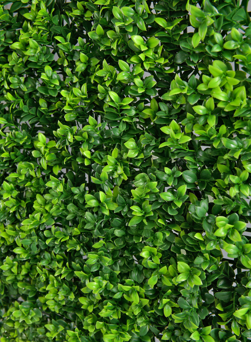 20in Square Mature Boxwood Mat (Indoor/Outdoor) Decor Jamali-garden
