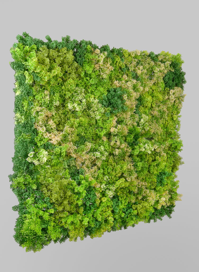 40in Square Tropical Green Tone Reindeer Moss Mat (Indoor/Outdoor) Decor Jamali-garden