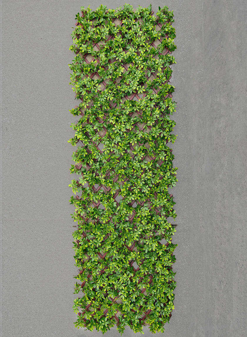40in x 80in Boxwood Accordion Expanding Trellis (Indoor/Outdoor) Decor Jamali-garden