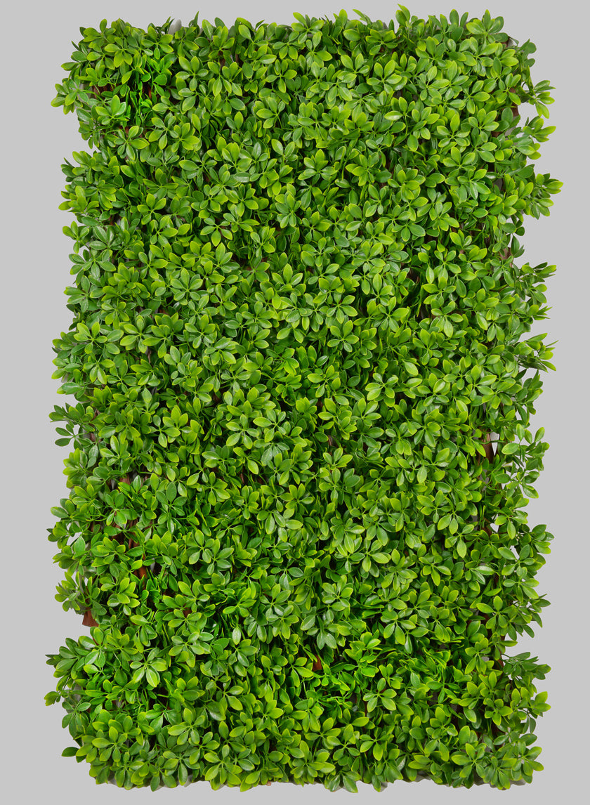 40in x 80in Boxwood Accordion Expanding Trellis (Indoor/Outdoor) Decor Jamali-garden