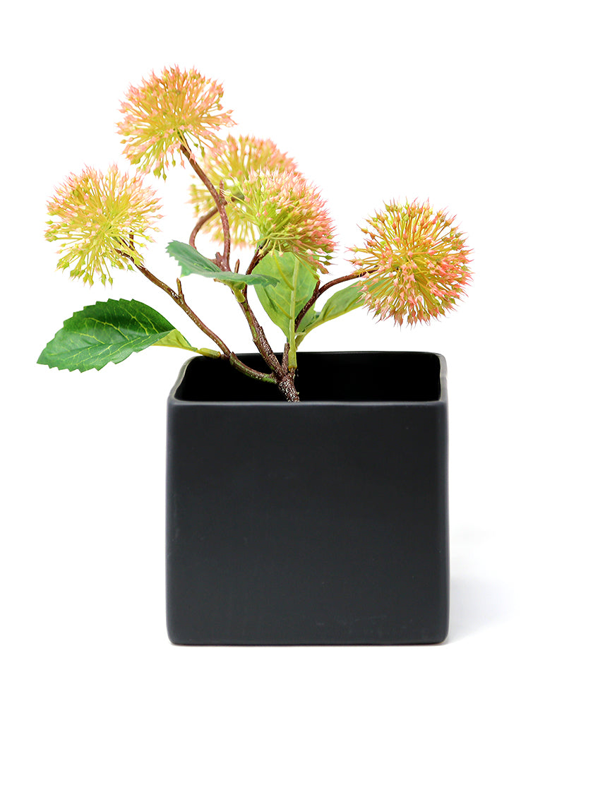 5in Tall Matte Black Ceramic Cube Decor Jamali-garden