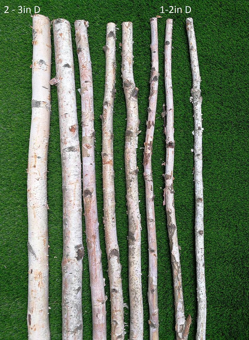 Natural Birch Poles Decor Jamali-garden