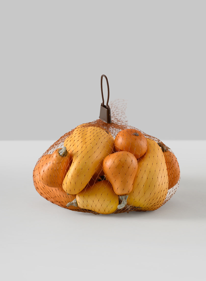 Illanois Fall Harvest Mini Gourds, Bag of 10 Decor Jamali-garden