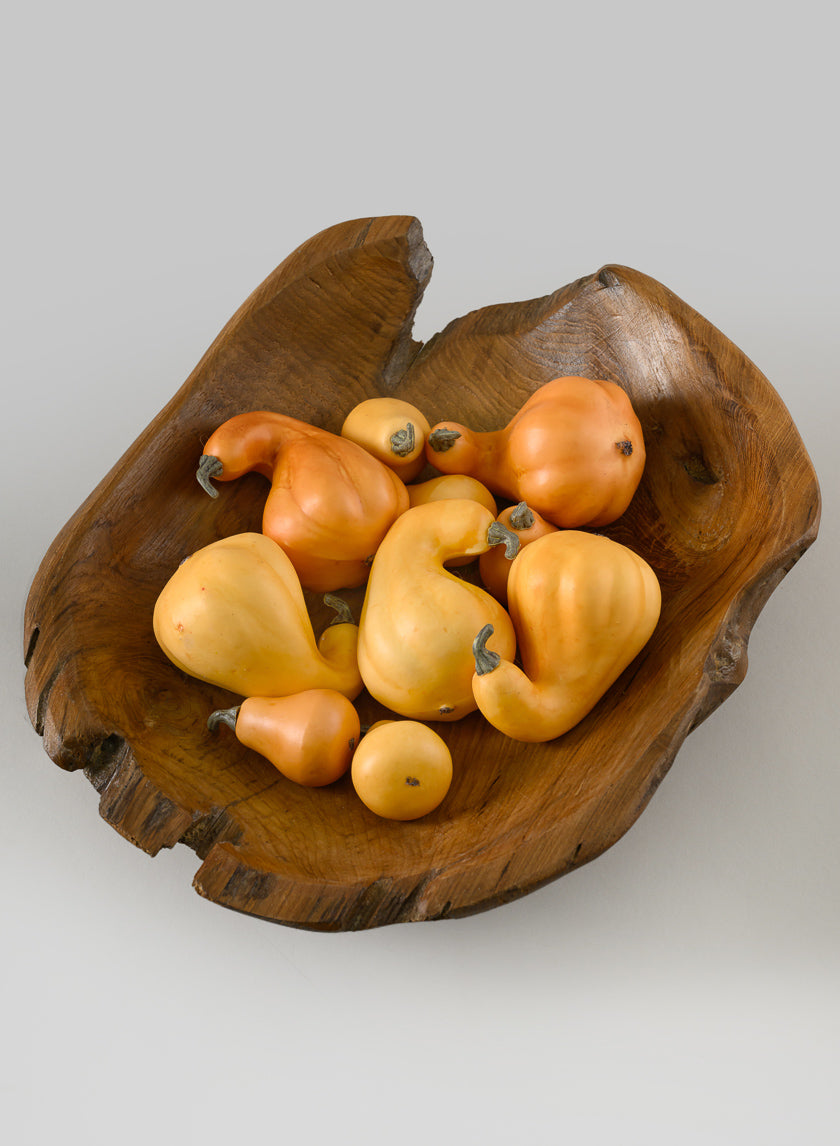 Illanois Fall Harvest Mini Gourds, Bag of 10 Decor Jamali-garden