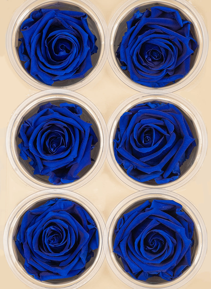 Preserved Deep Classy Blue Roses, Set of 6 Decor Jamali-garden