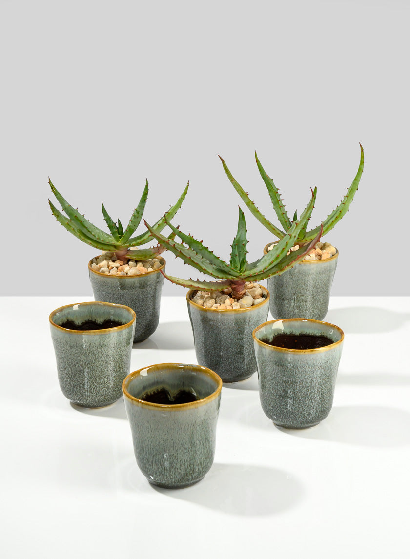 3.5in Tall Pale Green &amp; Chocolate Ceramic Ripple Vase Decor Jamali-garden