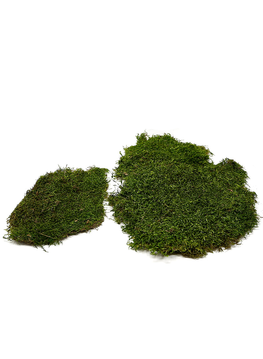 Super Moss Preserved Sheet Moss Decor Jamali-garden