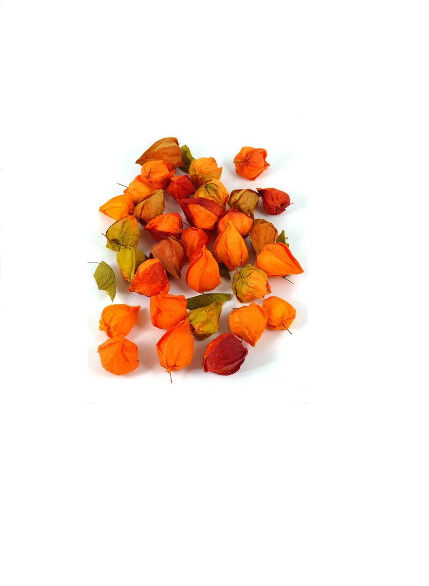 Chinese Lanterns, 0.15 lbs. Decor Jamali-garden