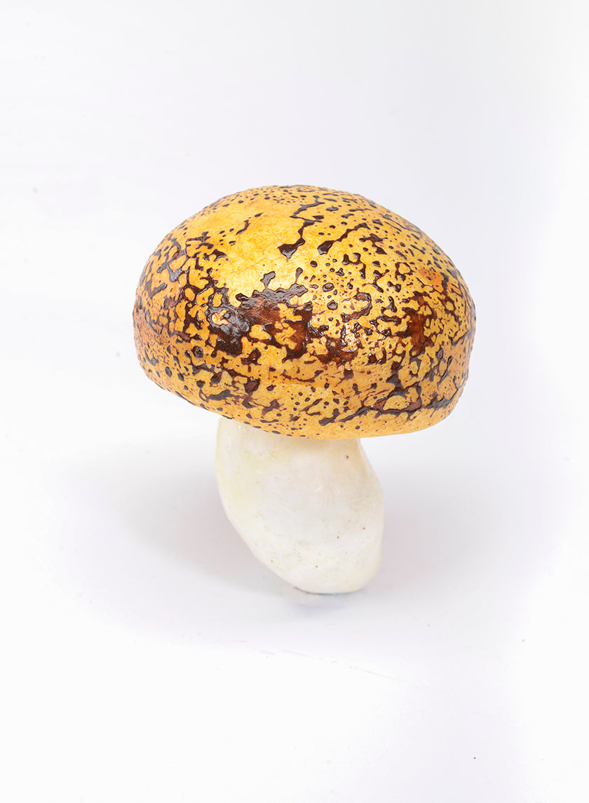 3-3.5in Long Assorted Mushrooms Decor Jamali-garden