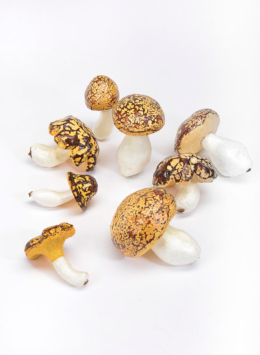 3-3.5in Long Assorted Mushrooms Decor Jamali-garden