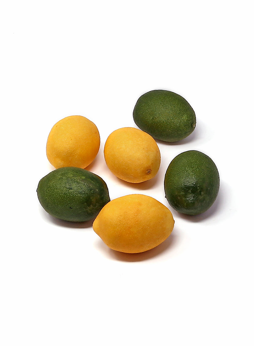 3in Limes &amp; Meyer Lemons Decor Jamali-garden
