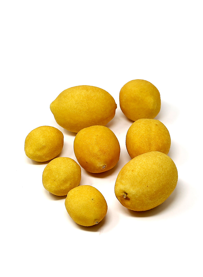 Meyer Lemons Decor Jamali-garden