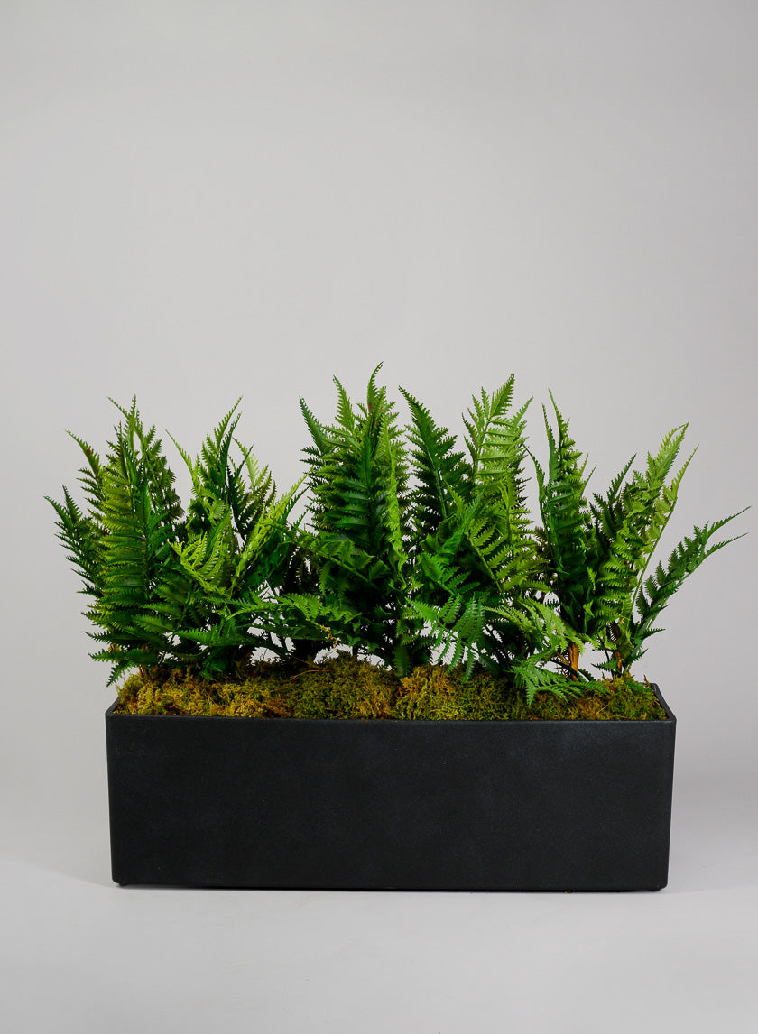 Campagna Black Classic Light Weight Window Box Decor Jamali-garden