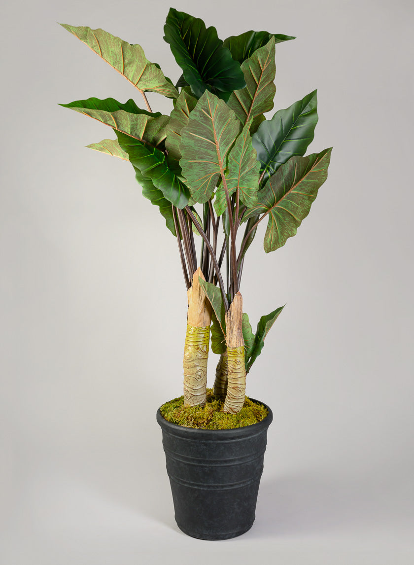 Manhattan Black Light Weight PVC Rolled Rim Planter Decor Jamali-garden