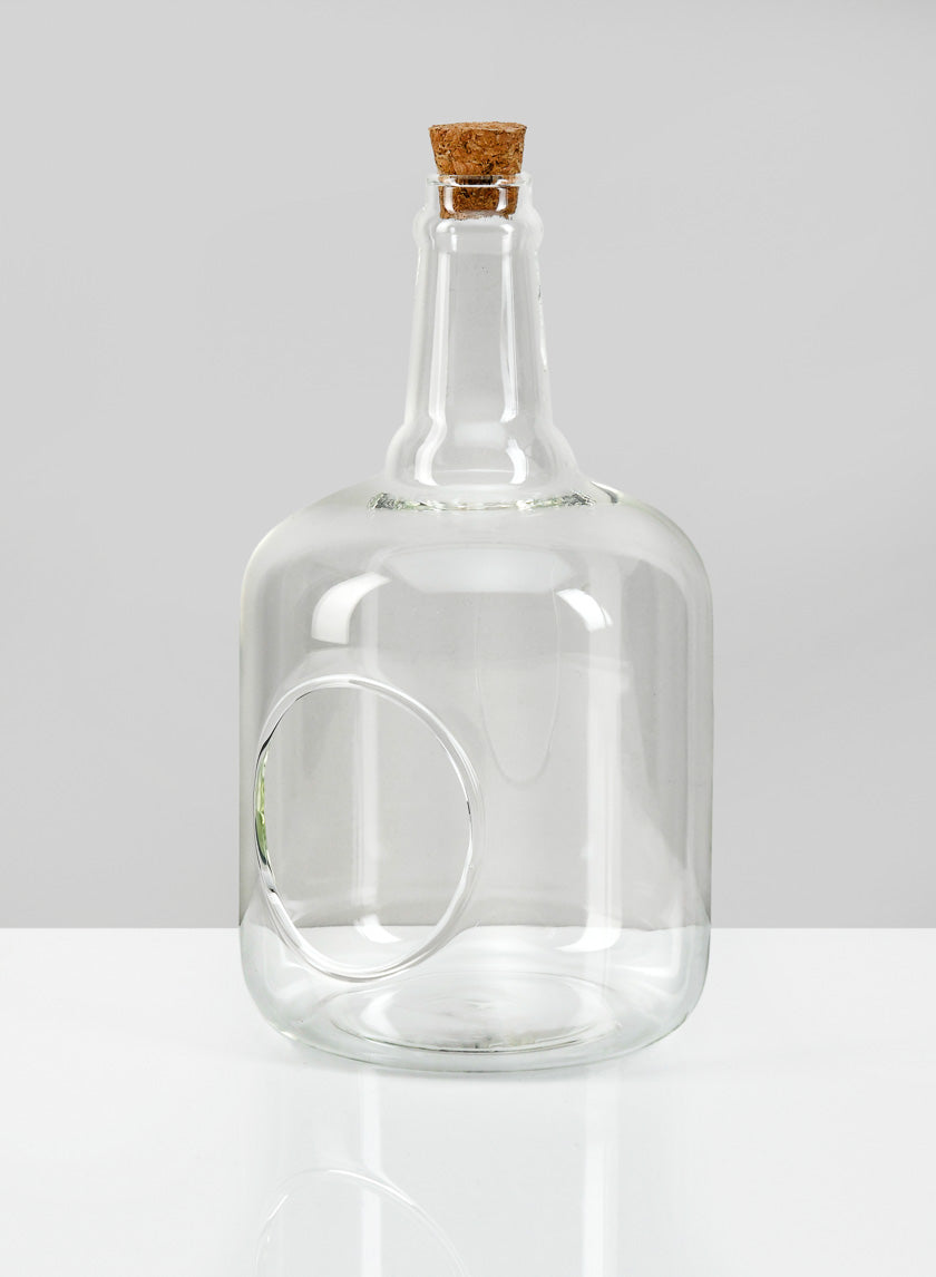 7.5in Tall Rio Bottle Glass Terrarium, Small Decor Jamali-garden