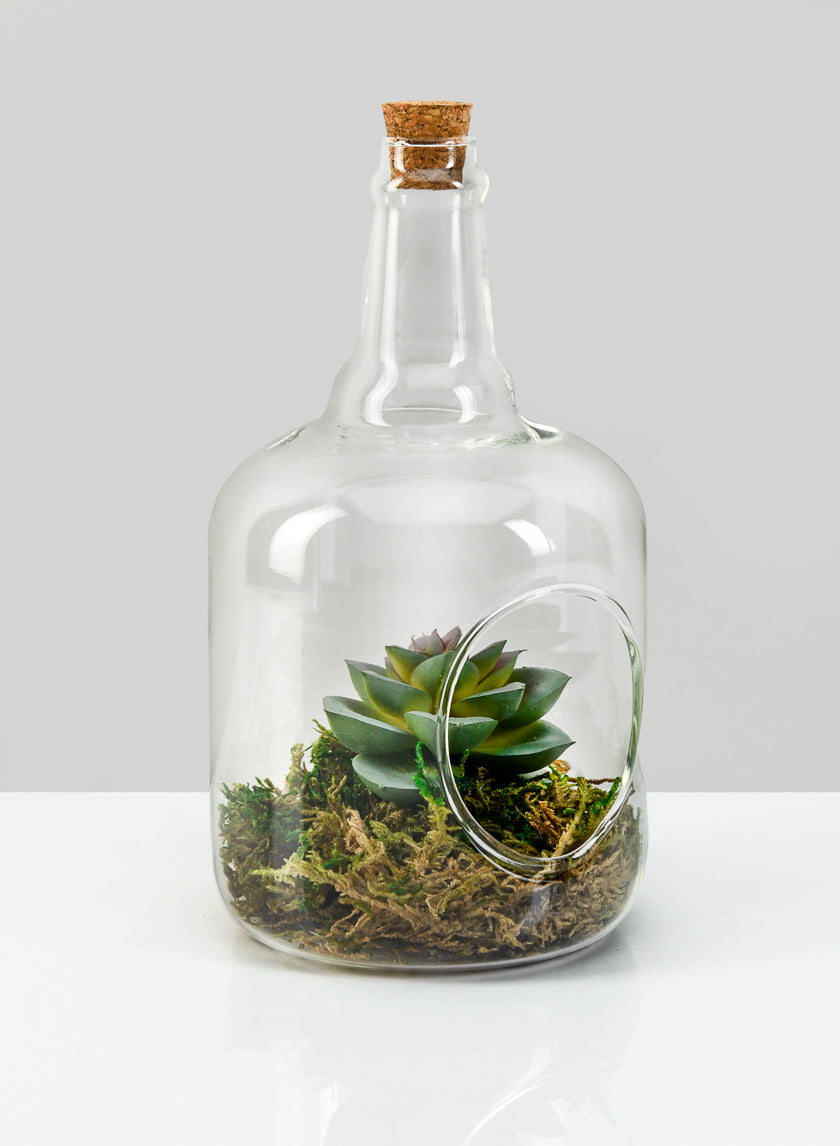 7.5in Tall Rio Bottle Glass Terrarium, Small Decor Jamali-garden
