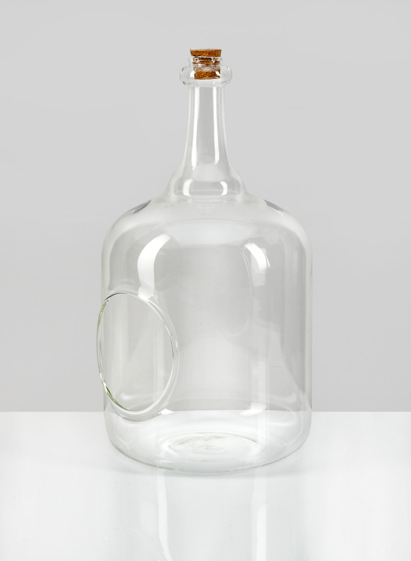 10.75in Tall Rio Bottle Glass Terrarium, Large Decor Jamali-garden