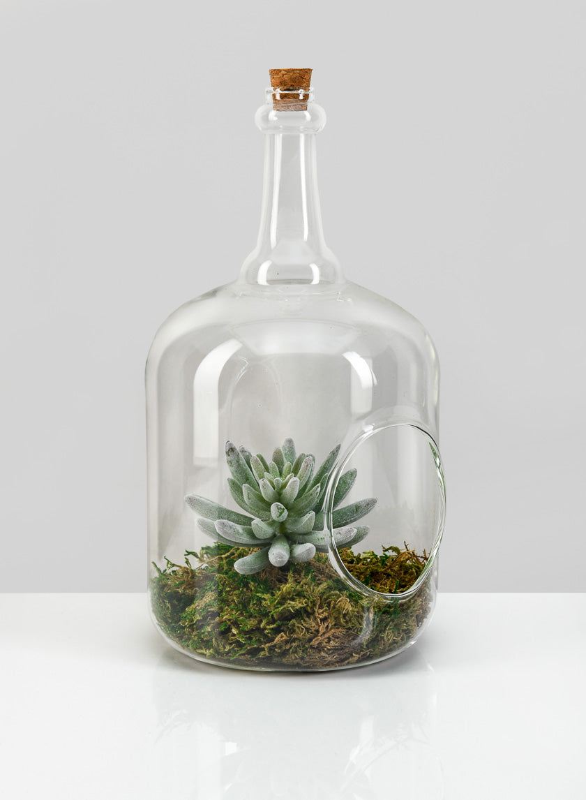 10.75in Tall Rio Bottle Glass Terrarium, Large Decor Jamali-garden