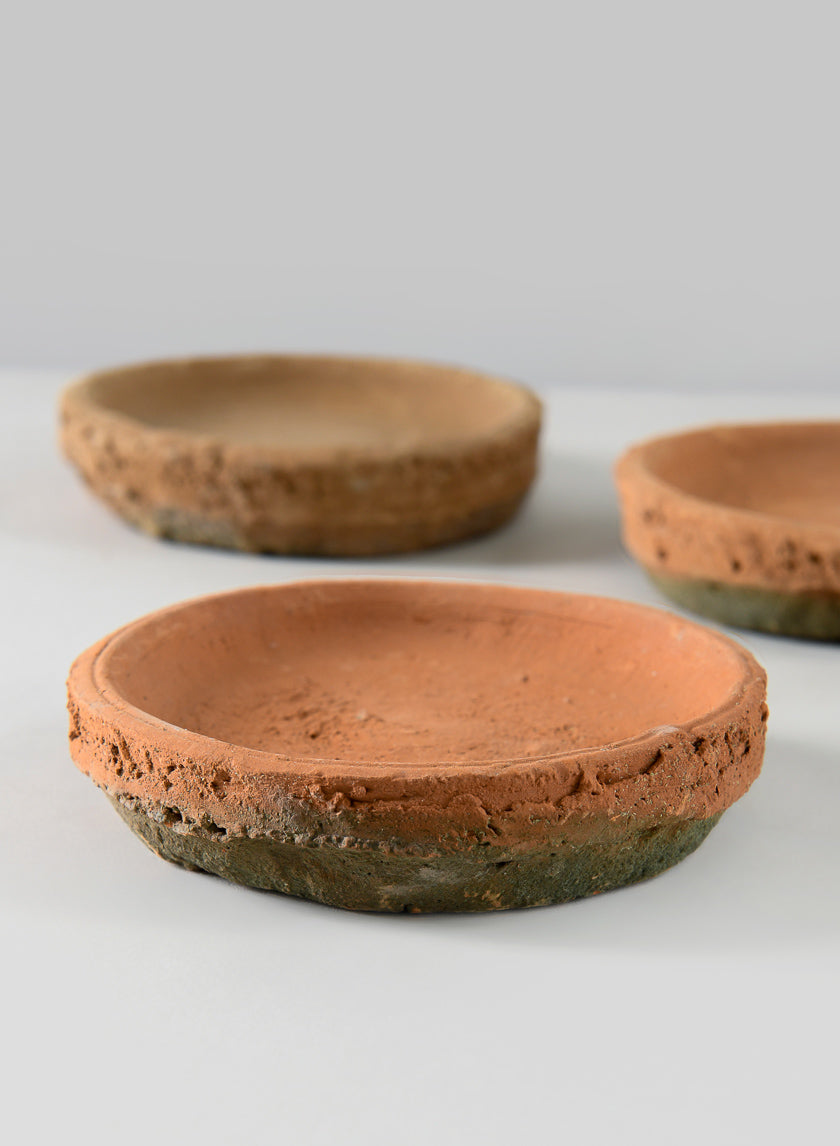 4in Wide Mossed Redstone Saucer Decor Jamali-garden