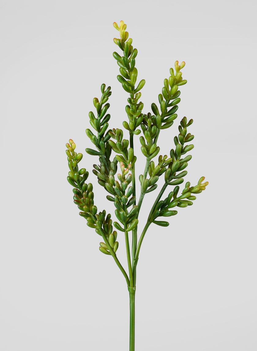 20in Long Succulent Pick Decor Jamali-garden