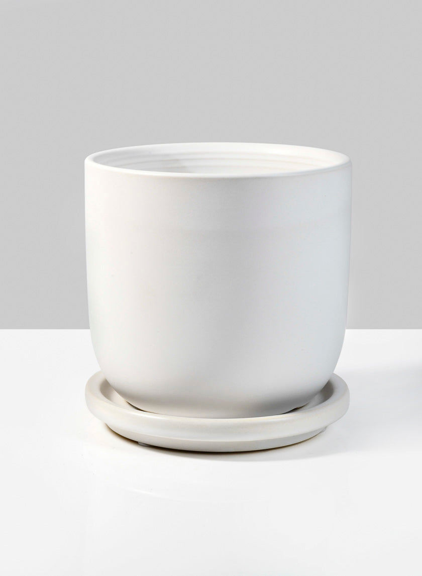 4.5in Tall Marble Aeon Ceramic Pot &amp; Saucer Decor Jamali-garden