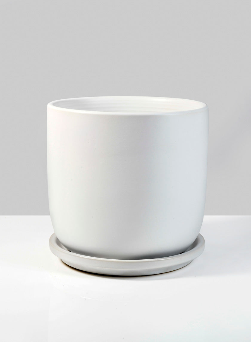 5.75in Tall Marble Aeon Ceramic Pot &amp; Saucer Decor Jamali-garden