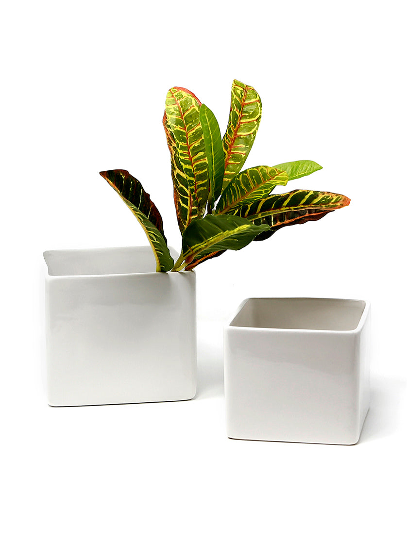 Gloss White Ceramic Cubes Decor Jamali-garden