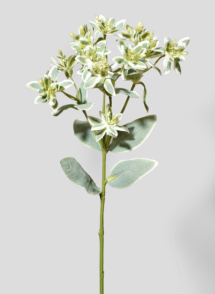 18in Long White &amp; Green Eucalyptus Spray Decor Jamali-garden