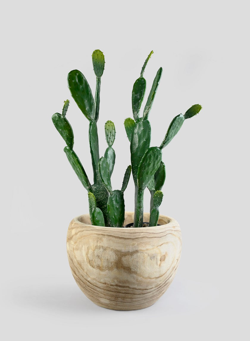 18in Wide Paulownia Wood Fishbowl Pot Decor Jamali-garden