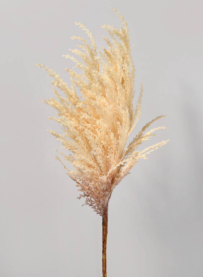 32in Long Pampas Grass Decor Jamali-garden