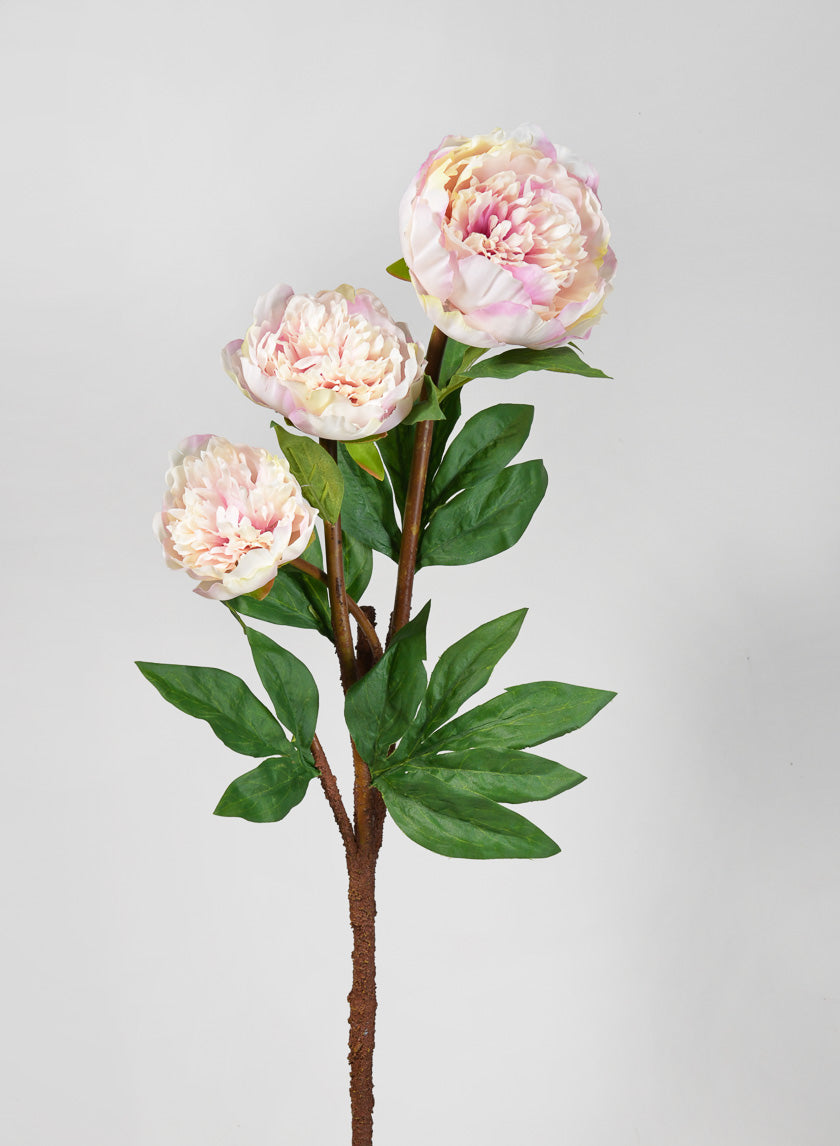 35in Long Light Pink Garden Peony Stem Decor Jamali-garden