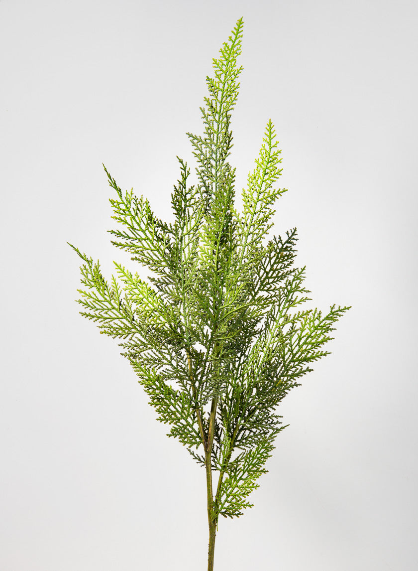 41in Long Thuja Pine Pick Decor Jamali-garden