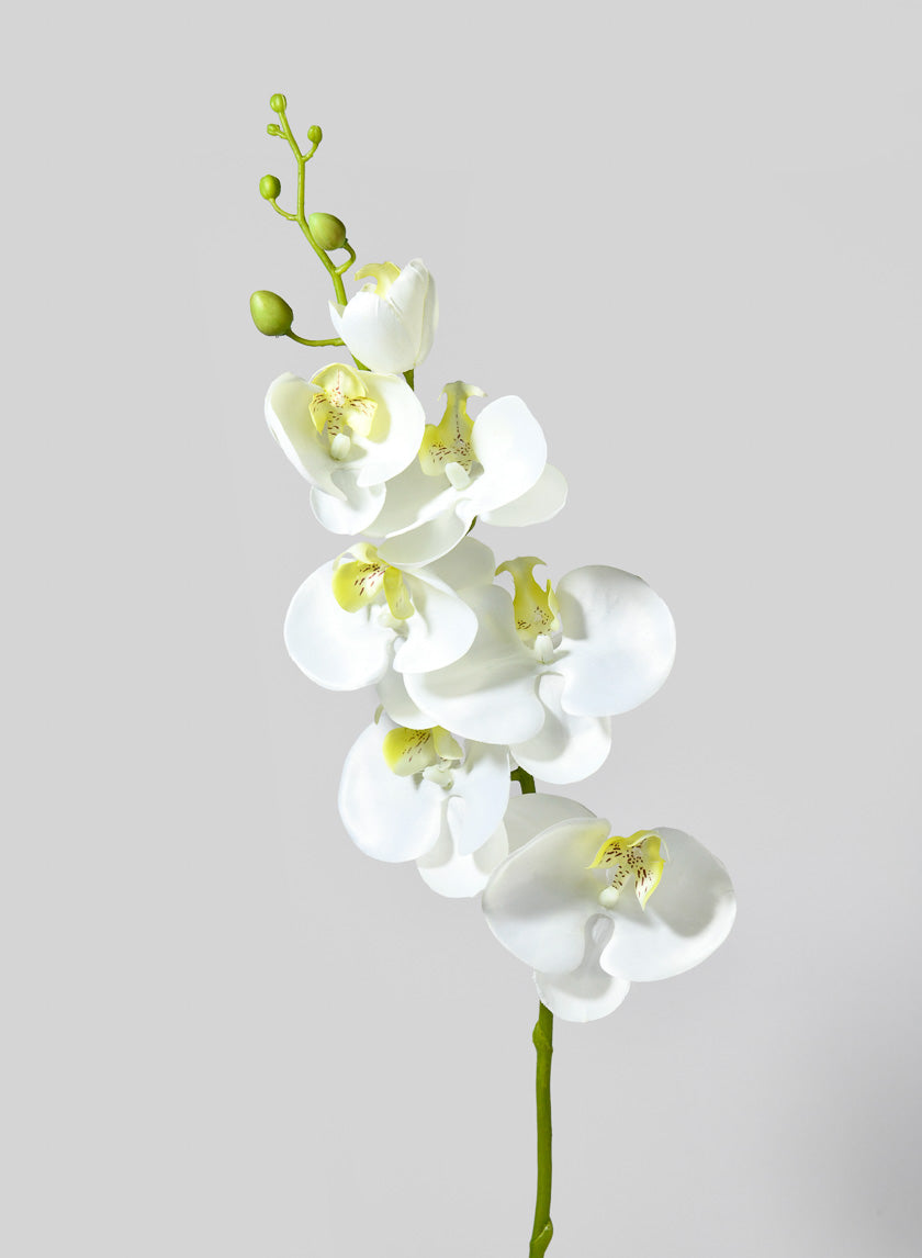 35in Long White &amp; Yellow Phalaenopsis Decor Jamali-garden