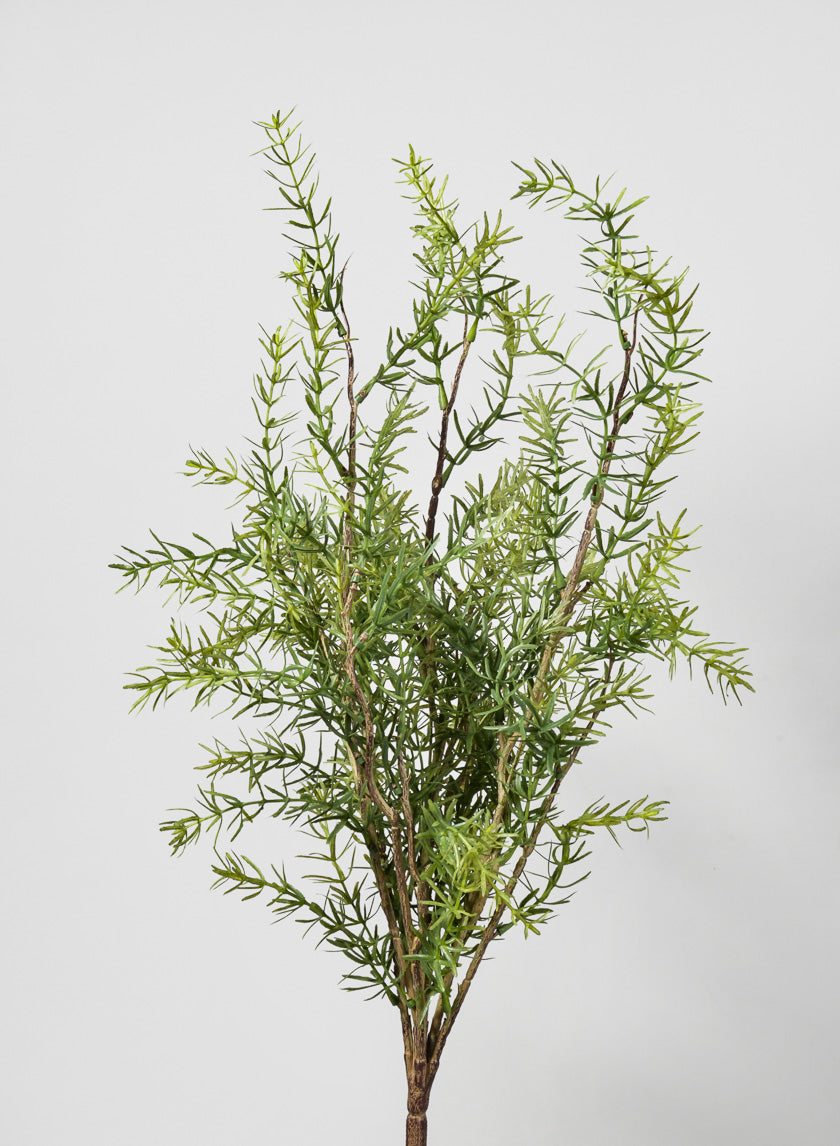 23in Long Rosemary Pick Decor Jamali-garden