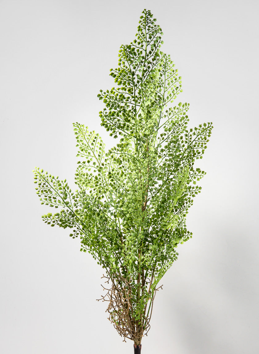 35in Long Rooted Fern Stem Decor Jamali-garden