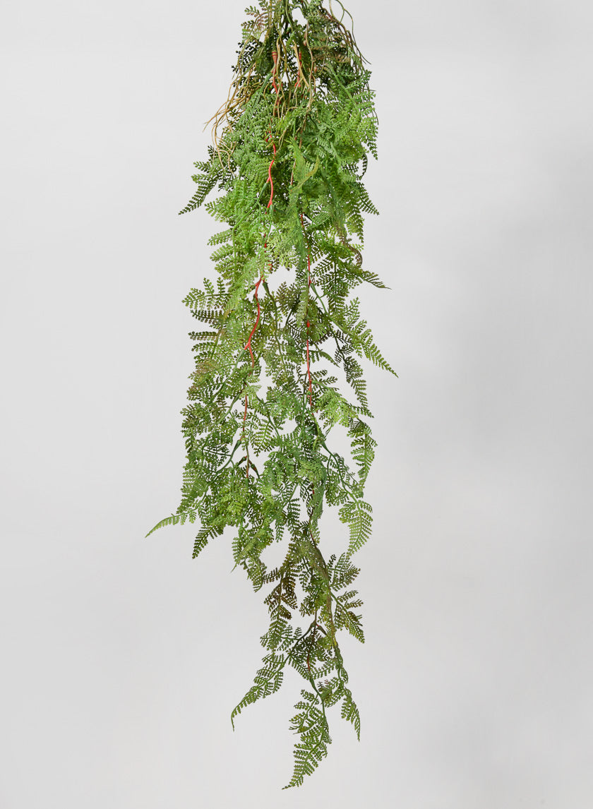 44in Long Rooted Rainforest Fern Hanging Decor Jamali-garden