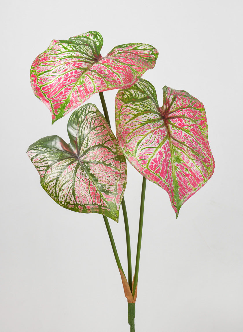 22in Long 3 Leaf Red Caladium Stem Decor Jamali-garden