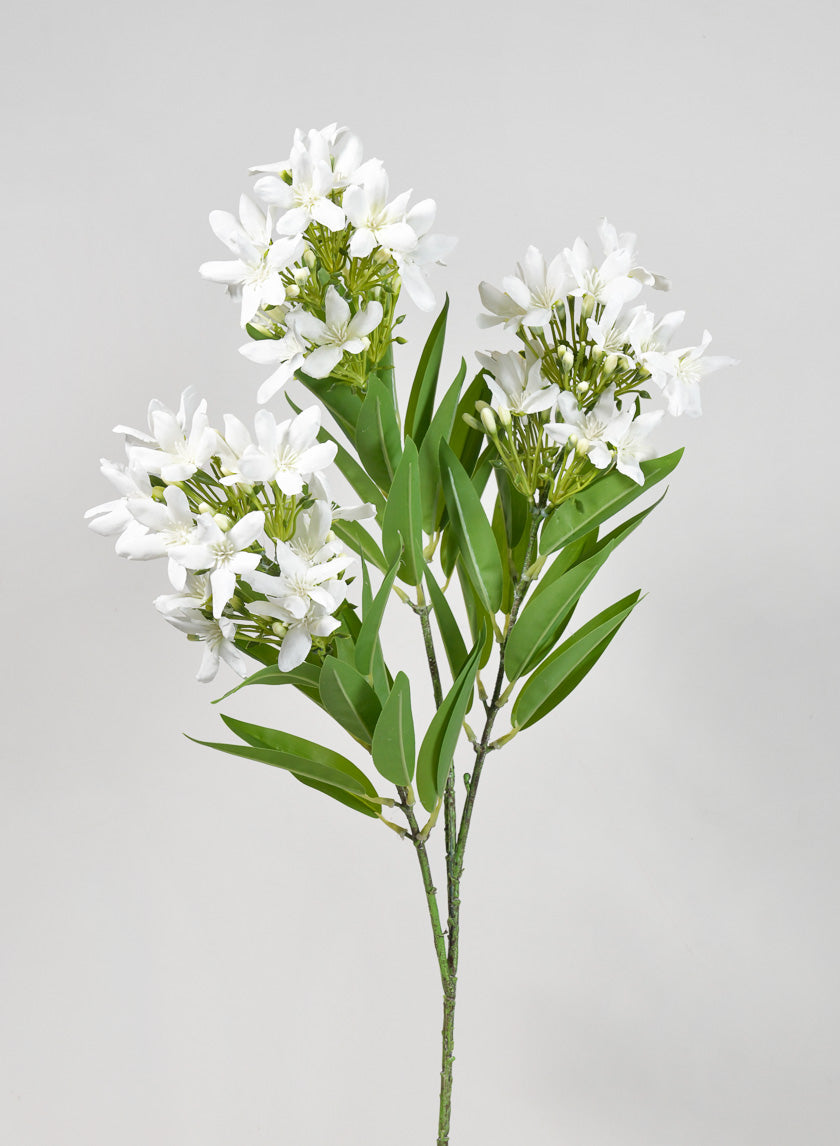 36in Long Blooming Stephanotis Branch Decor Jamali-garden