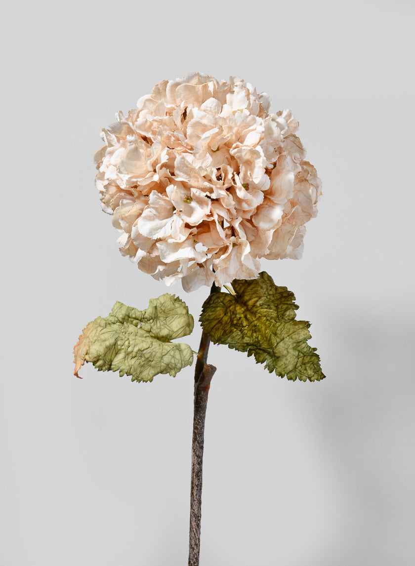 29in Long Blush Antique Hydrangea Stem Decor Jamali-garden