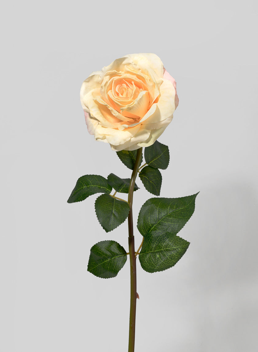 21in Long Eggnog Rose Decor Jamali-garden