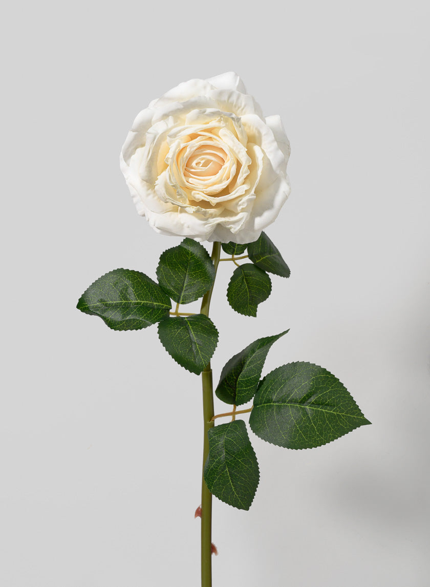 21in Long Cream Rose Decor Jamali-garden