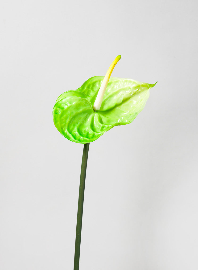 27in Long Anthurium Spray, Green Decor Jamali-garden
